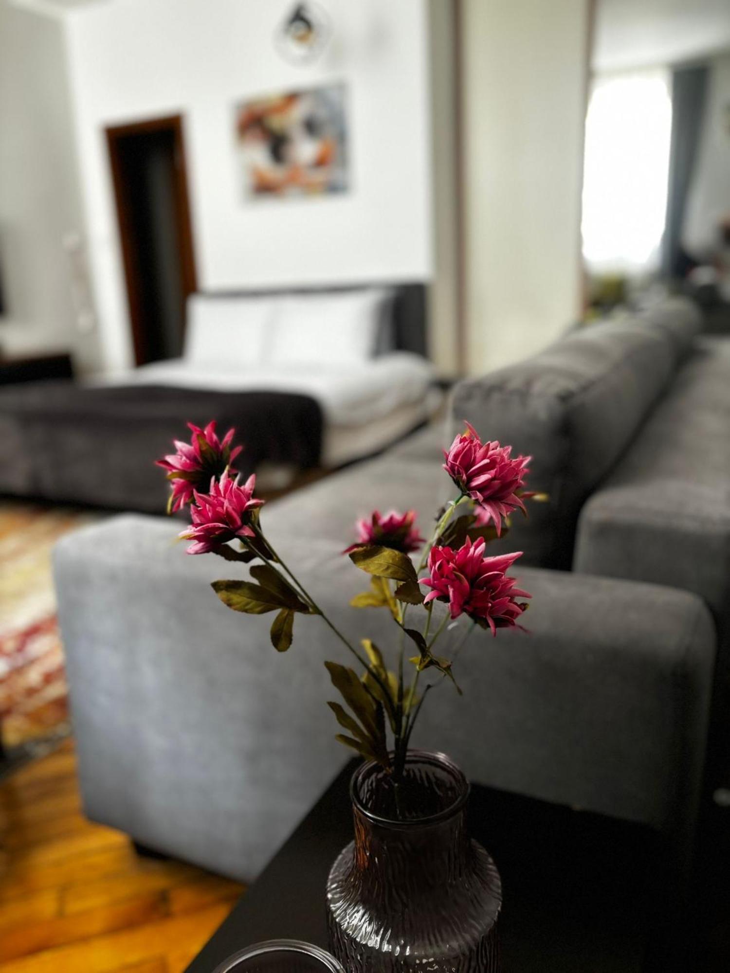Apartment Mila ซาราเยโว ภายนอก รูปภาพ